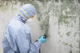 Mold Remediation for Vacation Homes in Tallulah, LA